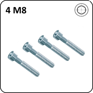 4 screws M6 CHC 8.8