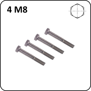 4 screws M8 HEXA 8.8